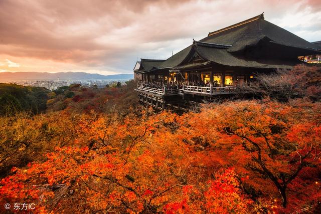日本京都有一家奇葩寺廟，原配求離婚，小三來這求轉正38 / 作者:酒店少爺 / 帖子ID:1390